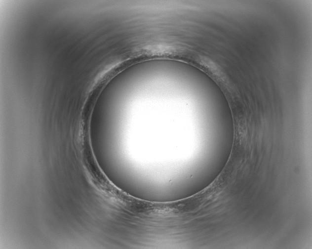 X0000065950583200603101358