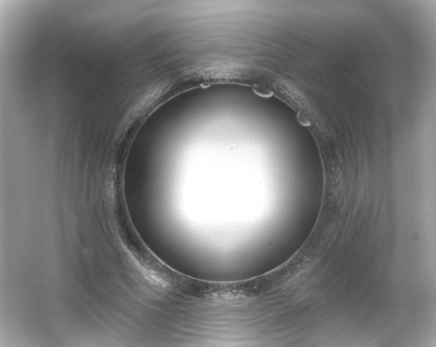 X0000065950586200603101358