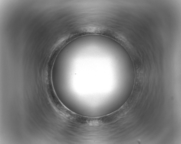 X0000065950587200603101358