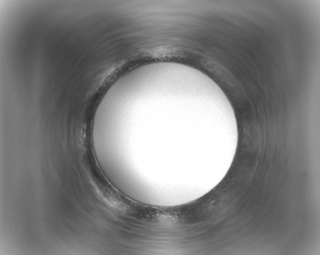 X0000065950592200603101358