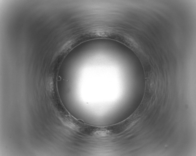 X0000065950595200603101358