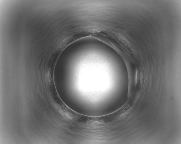 X0000065950597200603101358
