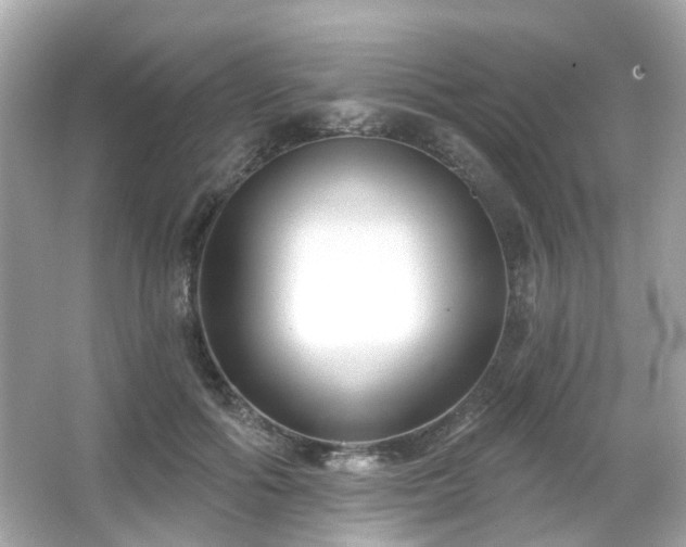 X0000065950602200603101358