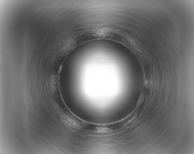 X0000065950605200603101358