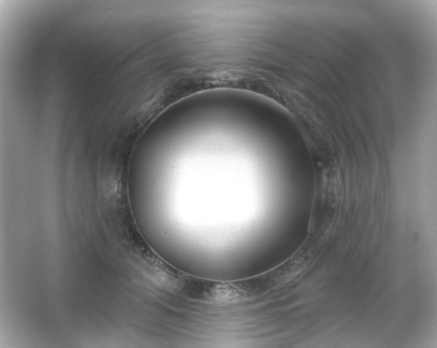 X0000065950608200603101358