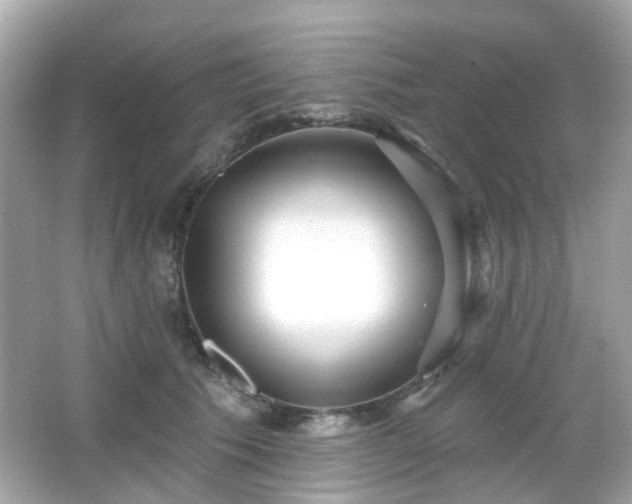 X0000065950609200603101358
