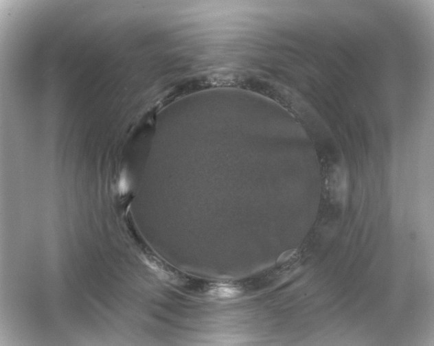 X0000065950610200603101358