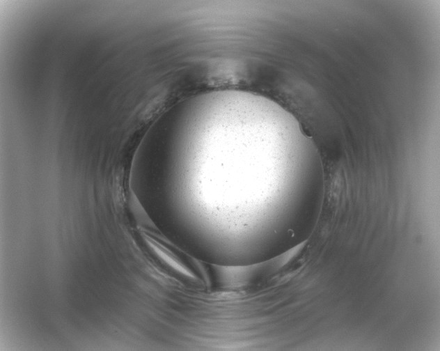 X0000065950616200603101358