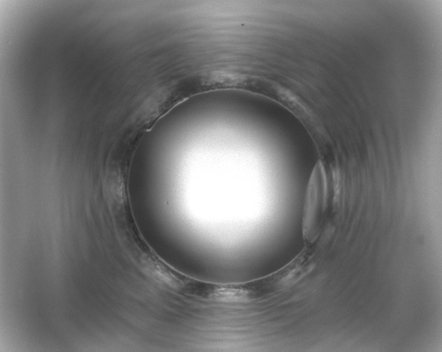 X0000065950617200603101358