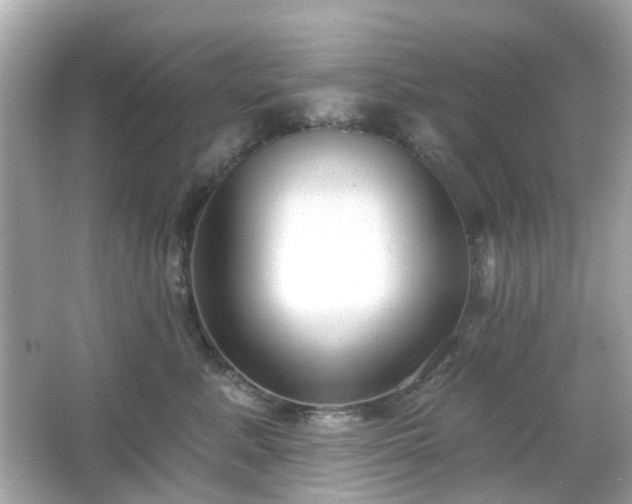 X0000065950619200603101358