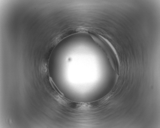 X0000065950621200603101358