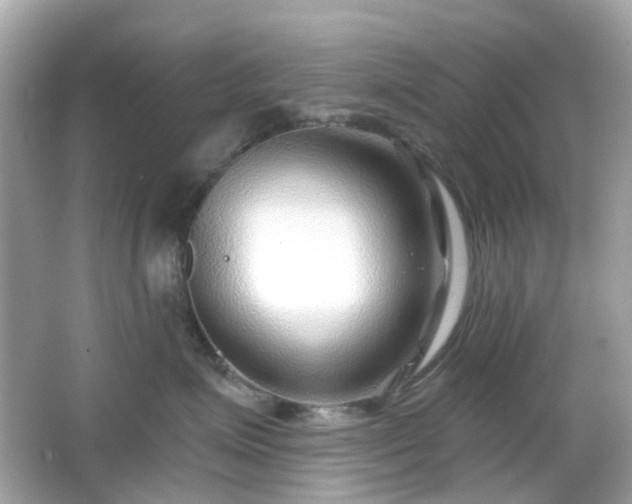 X0000065950623200603101358