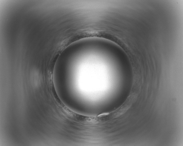 X0000065950624200603101358