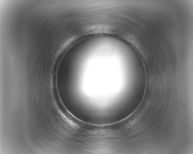 X0000065950629200603101357