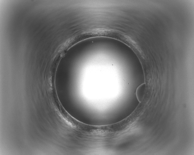 X0000065950633200603101357