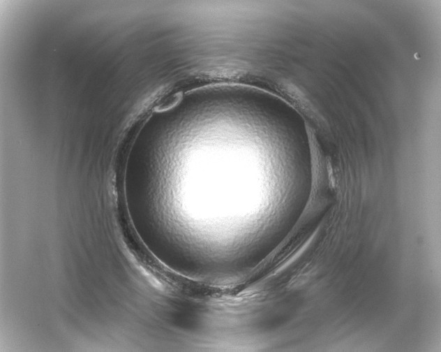 X0000065950634200603101357