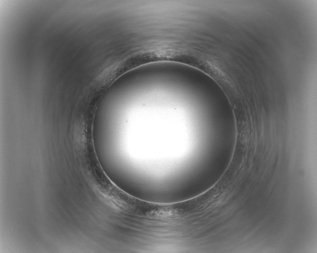 X0000065950639200603101357