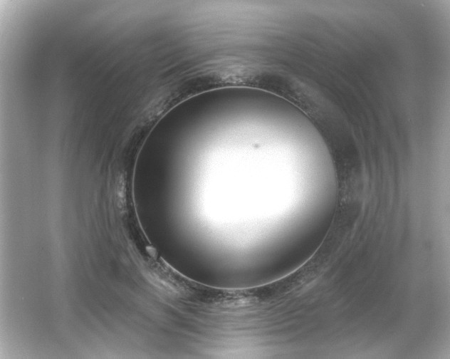 X0000065950646200603101357