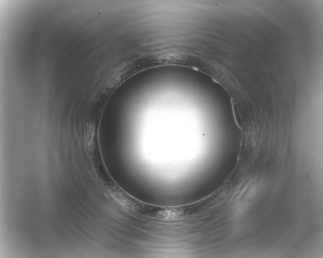 X0000065950660200603101357