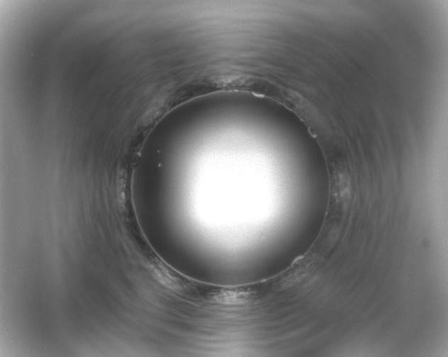 X0000065950664200603101357