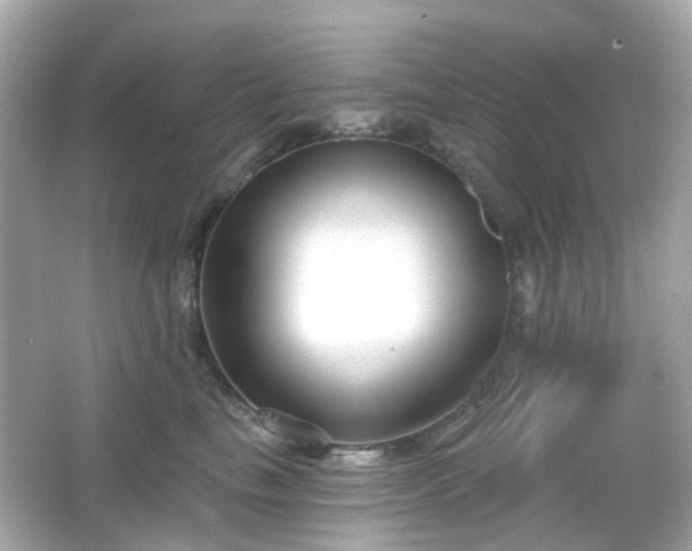 X0000065950665200603101357