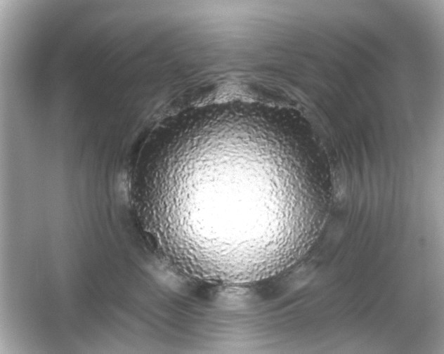 X0000065950669200603101358