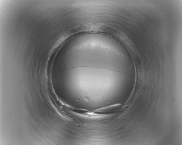 X0000065950674200603101357