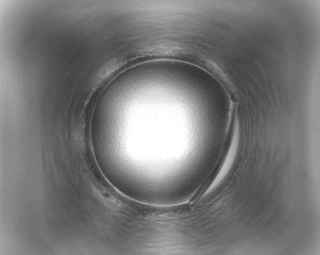 X0000065950675200603101357