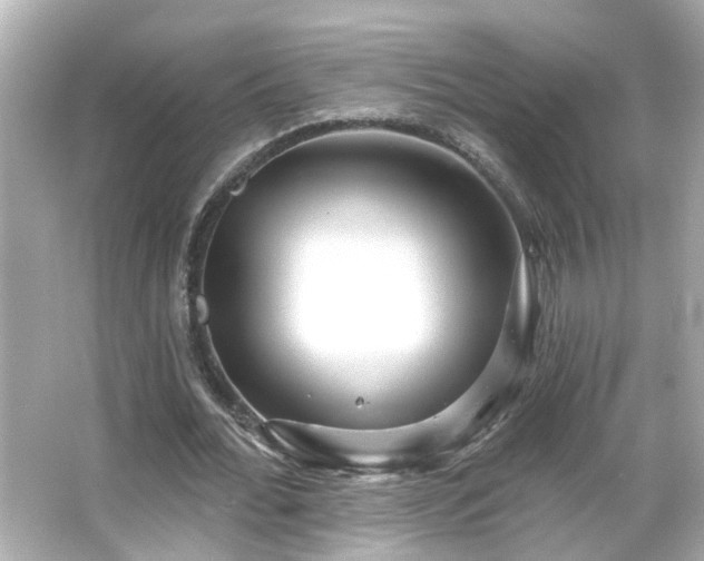 X0000065950676200603101357