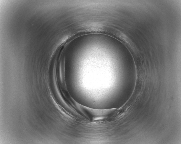 X0000065950677200603101357