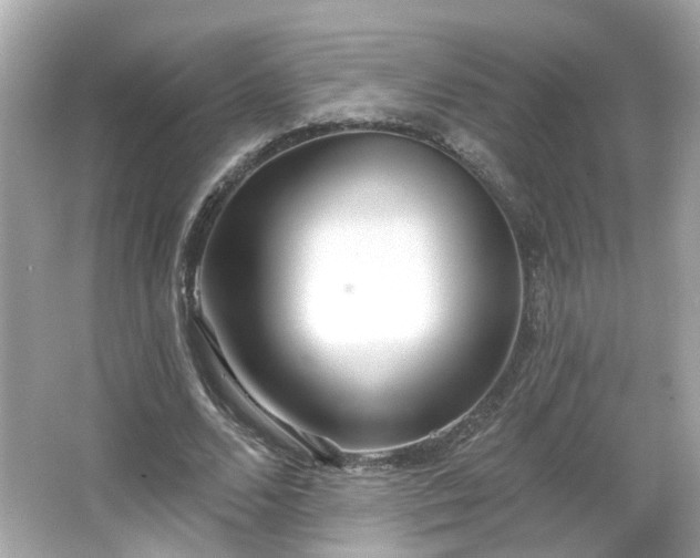 X0000065950680200603101357