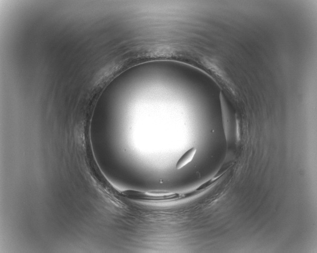 X0000065950681200603101357