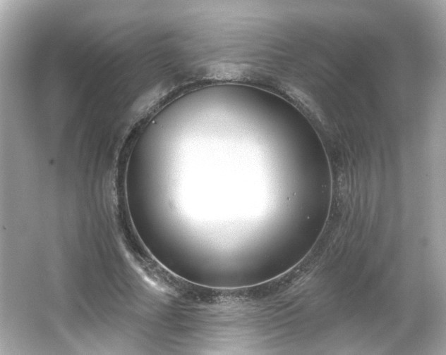 X0000065950682200603101357