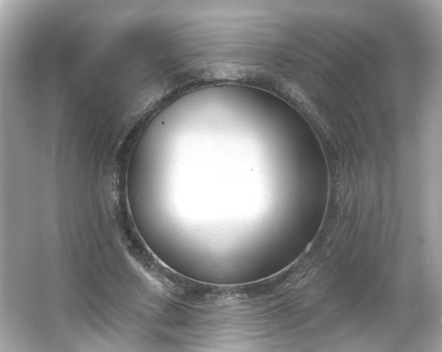 X0000065950683200603101357