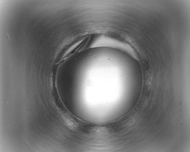 X0000065950685200603101357