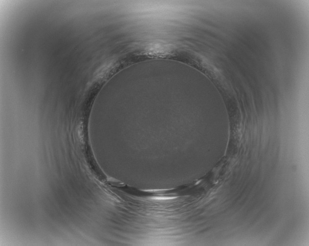 X0000065950689200603101356