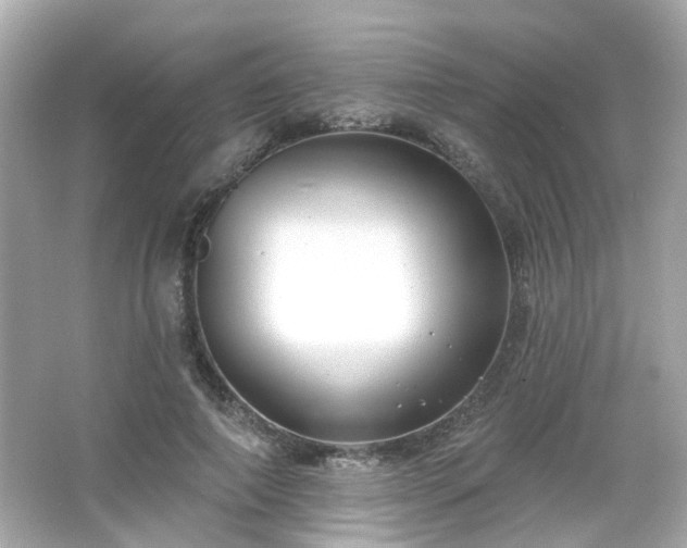 X0000065950690200603101356