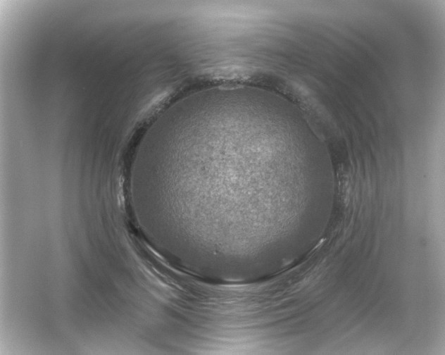 X0000065950692200603101356