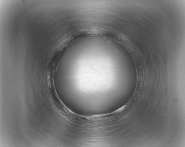 X0000065950696200603101356
