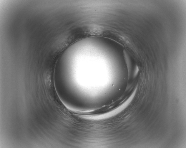 X0000065950697200603101356