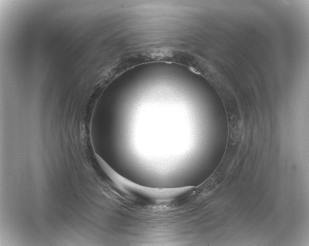 X0000065950704200603101356
