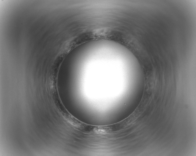 X0000065950706200603101356