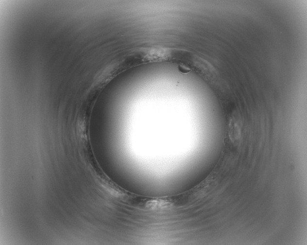 X0000065950714200603101356