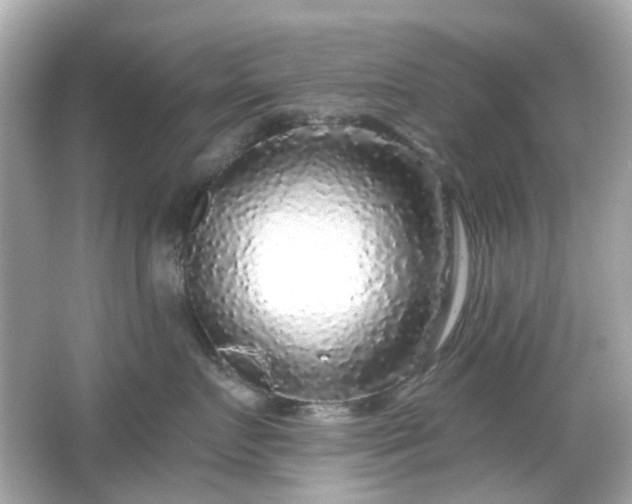 X0000065950719200603101356
