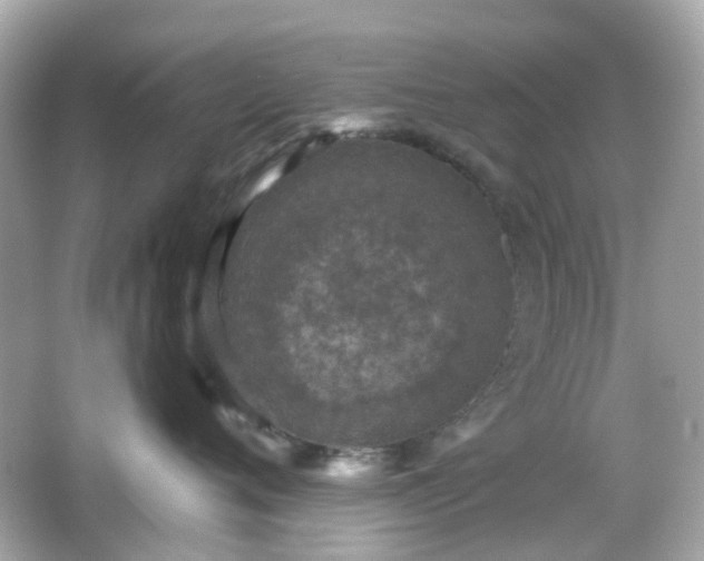 X0000065950720200603101356