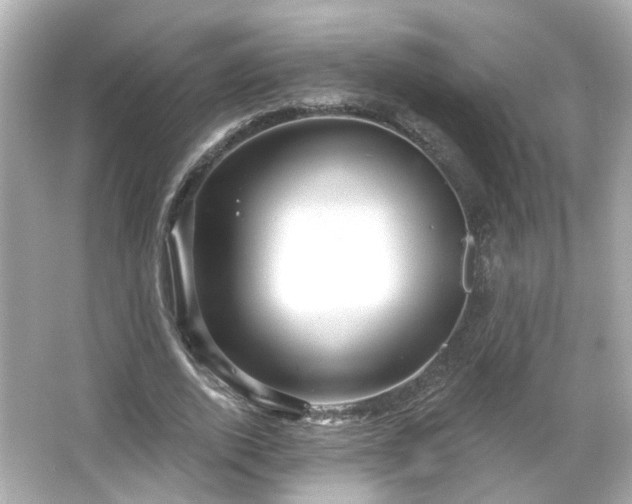 X0000065950728200603101355