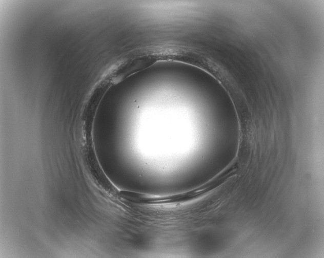 X0000065950731200603101355