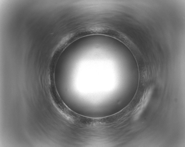 X0000065950734200603101355