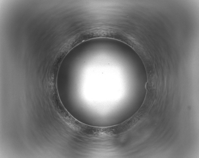 X0000065950737200603101355