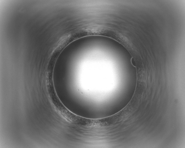 X0000065950738200603101355